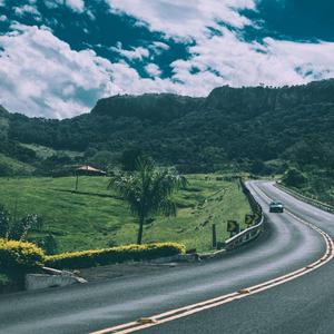 欧美怡红院免费的视频
